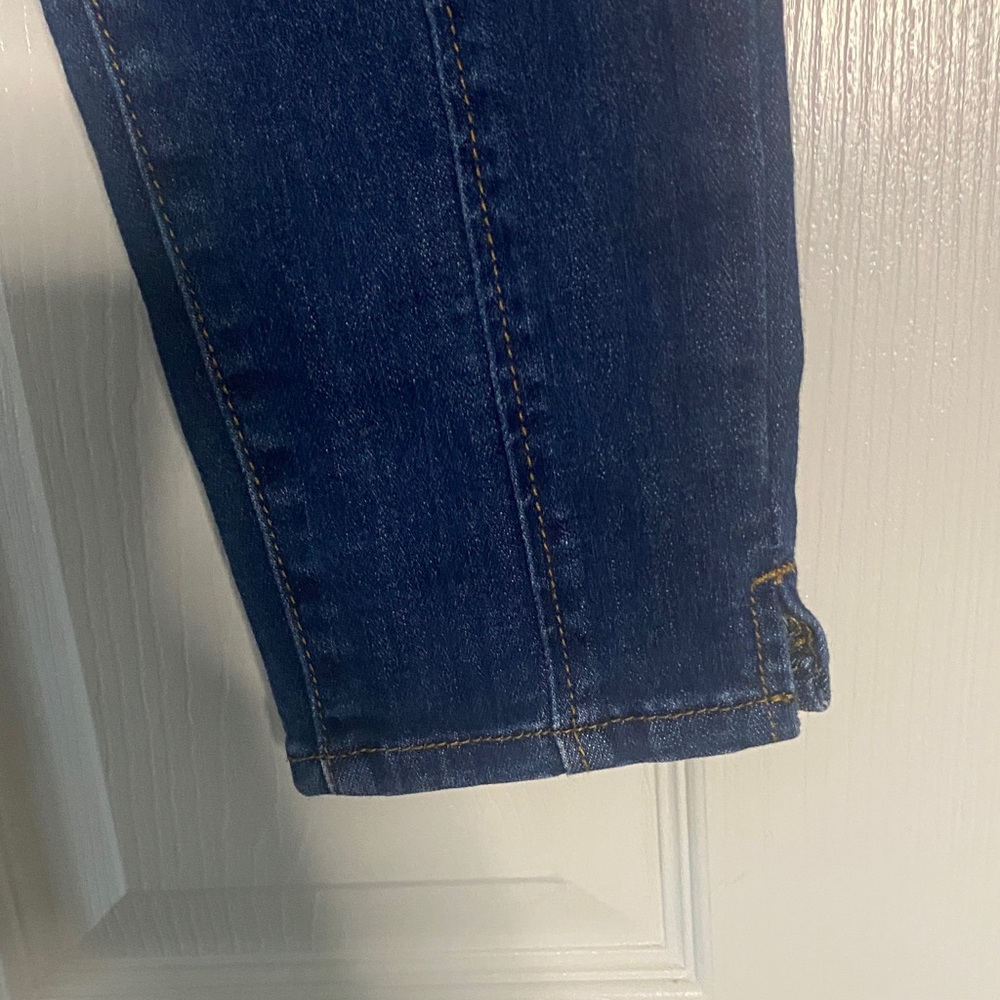 Anthropologie Pilcro and the Letterpress Denim Cropped Jeans. Size 28 petite - Picture 8 of 12